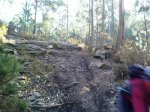 IMAGE_00204.jpg