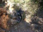 CIMG0118_redimensionar.JPG