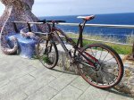 Orbea Occam 29 V.jpg