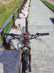 Orbea Occam 29 VI.jpg