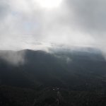 IMG_20210801_124505_242.jpg