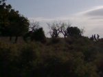 Imagen027.jpg