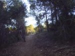 salida por la vallesa 002.jpg