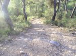 salida por la vallesa 009.jpg