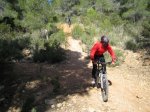 IMG_8521.jpg