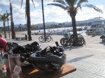 IMG_8530.jpg