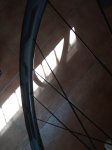 IMG_20210729_121742.jpg