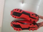 IMG_20210810_170620.jpg