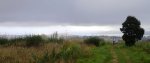 Panorama 1.JPG
