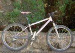 monapenbici0.jpg