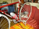 Bici mama VI PICT2699.JPG