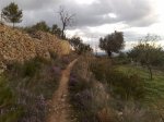 Copia de 15122007070.jpg