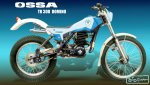 ossa%20trial%20domino%20azul.jpg