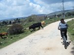 Imagen 025.jpg