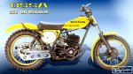 ossa%20motoball.jpg
