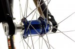ckblue (Medium).jpg