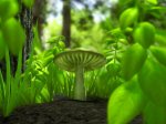 Green_mushroom.jpg