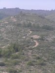 imagen 042_2.jpg