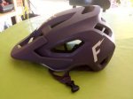 Fox morado 3.jpg