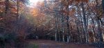 IMG-20211112-WA0016.jpg