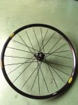 thumbnail_IMG_4307.jpg