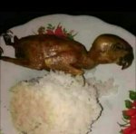 tapatalk_1637692608098.jpeg