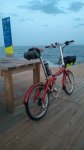 IMG_20211014_191940122.jpg