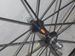 DSC02845.JPG
