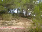 DSC00943.JPG