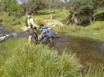 DSC00265.jpg