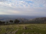 DSC00381.jpg