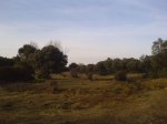 DSC00437.jpg