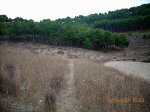 EL SENDERO 3.jpg
