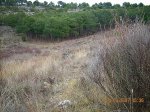EL SENDERO 4.jpg