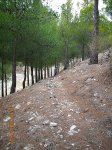 EL SENDERO 16.jpg