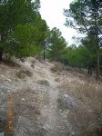 EL SENDERO 25.jpg