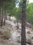 EL SENDERO 26.jpg