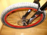 DSC07996.JPG