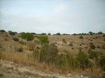 EL SENDERO (bajada al 4).jpg