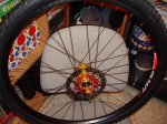 DSC00486.JPG