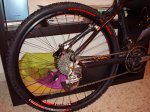 DSC00504.JPG
