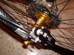 DSC00507.JPG