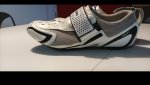 IMG_20220111_182131.jpg