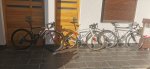 IMG_20220116_111759.jpg