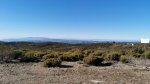 IMG-20220116-WA0000.jpg