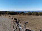IMG_20220116_114747.jpg