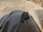IMG_20220118_193031.jpg