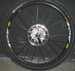 DSC01517.jpg