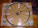 DSC00078.JPG