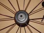 DSC00080.JPG